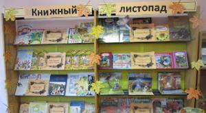 Курсовая работа: Методы продвижения чтения в детских библиотеках Продвижения чтения в сельской библиотеке